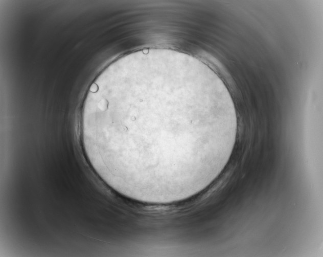 X0000088080804200706081728