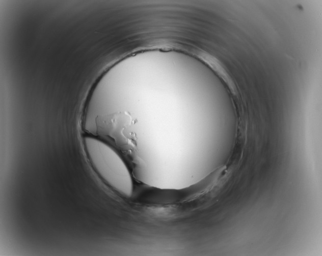X0000088080805200706081728