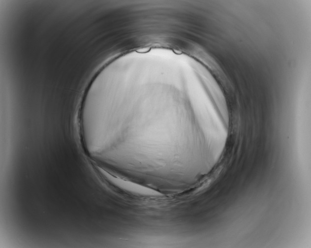 X0000088080806200706081728
