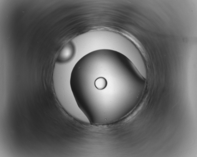 X0000088080809200706081728