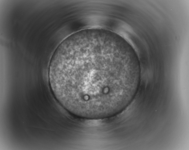 X0000088080810200706081728