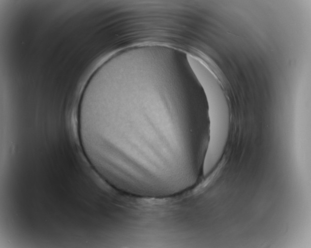 X0000088080812200706081728