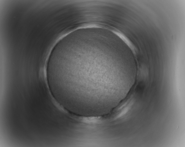 X0000088080813200706081728