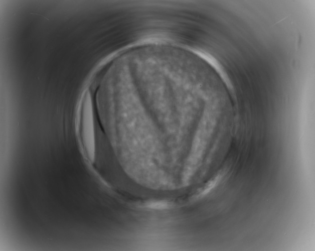 X0000088080815200706081728