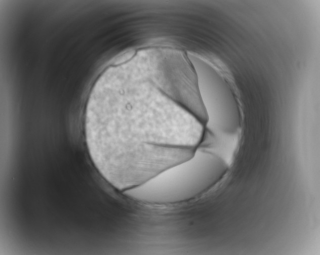 X0000088080816200706081728