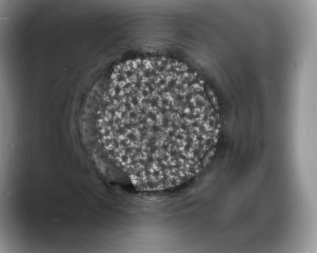 X0000088080817200706081728