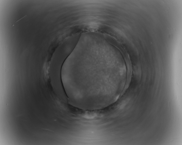 X0000088080818200706081728