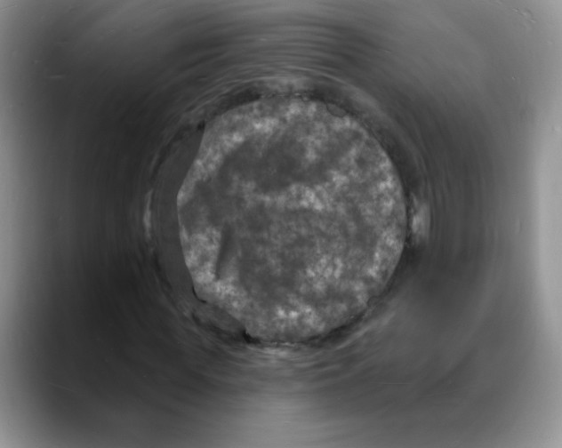 X0000088080819200706081728