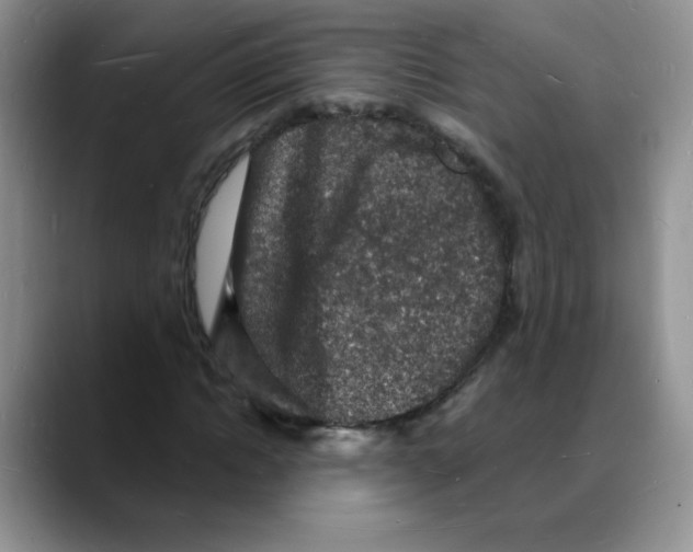 X0000088080822200706081728
