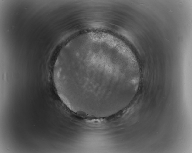 X0000088080823200706081728