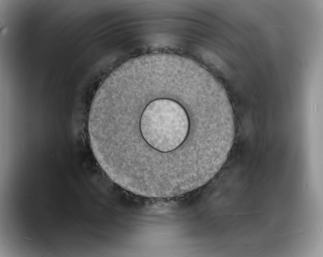 X0000088080824200706081728