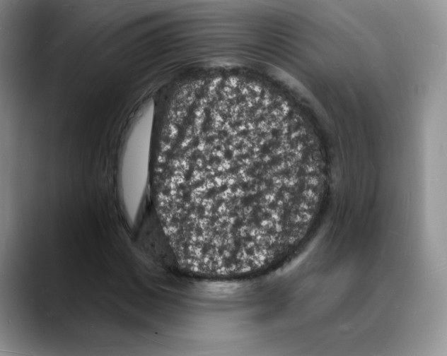 X0000088080825200706081728