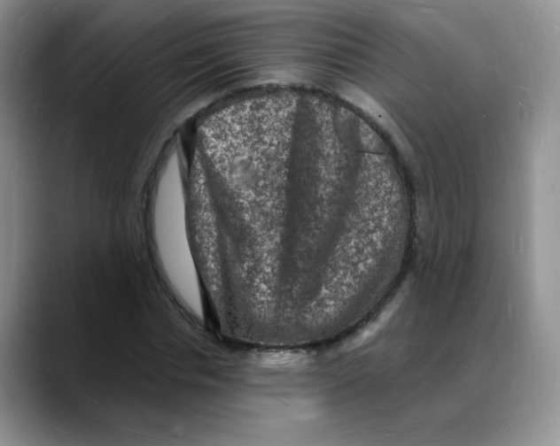 X0000088080826200706081728