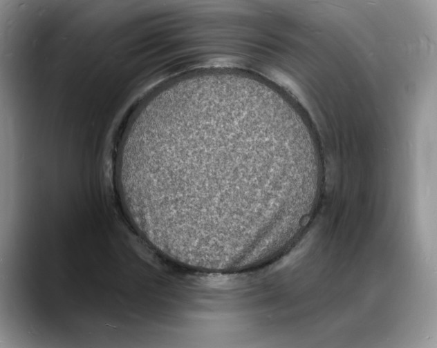 X0000088080827200706081728