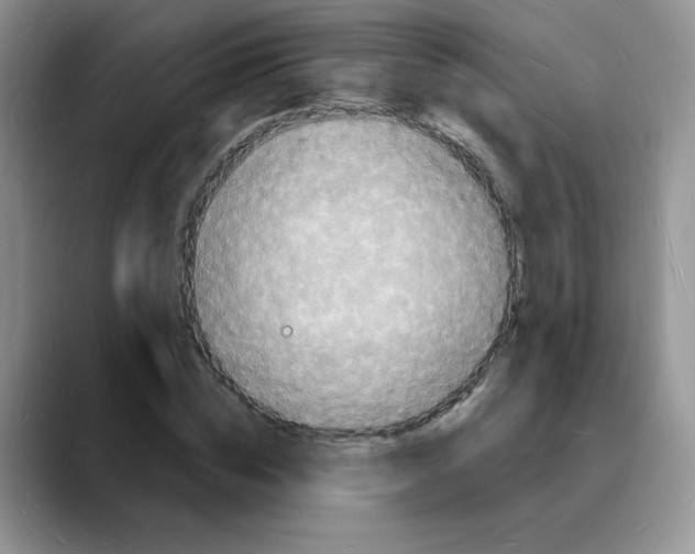 X0000088080828200706081728