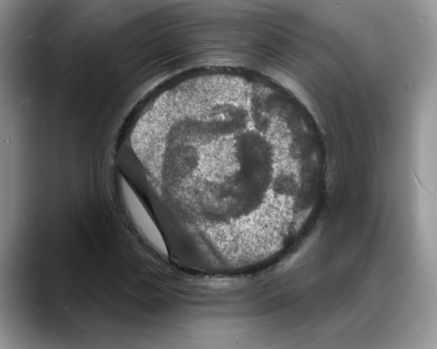 X0000088080829200706081728