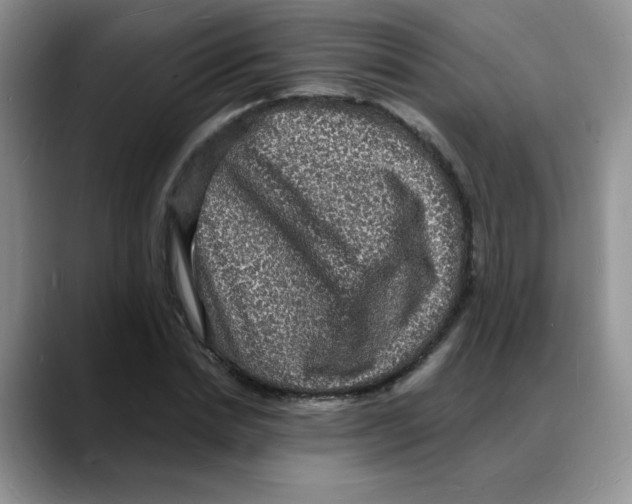 X0000088080830200706081728