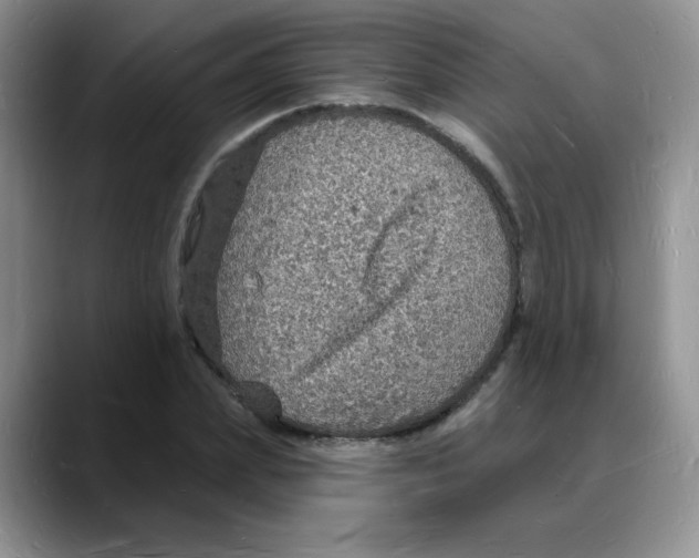 X0000088080831200706081728
