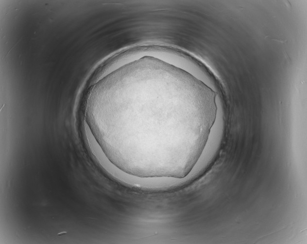 X0000088080832200706081728