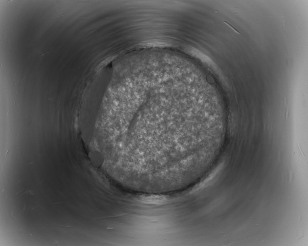 X0000088080833200706081728