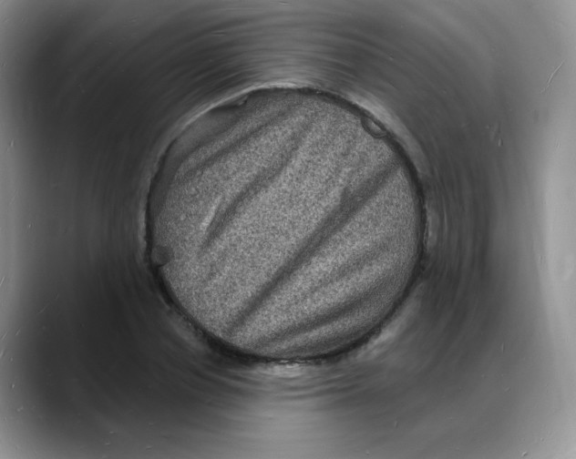 X0000088080834200706081728