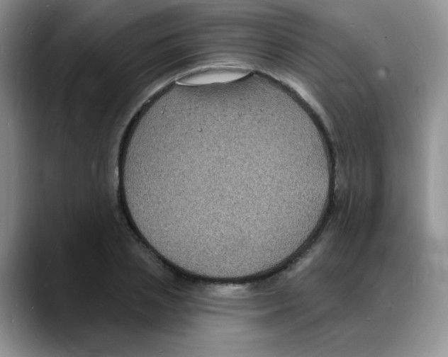 X0000088080837200706081728