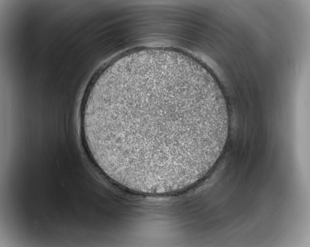 X0000088080840200706081728