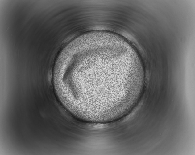 X0000088080841200706081728