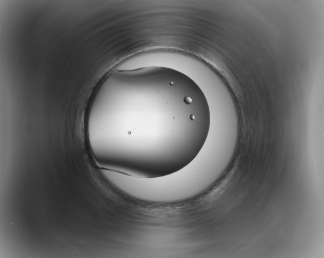 X0000088080842200706081728