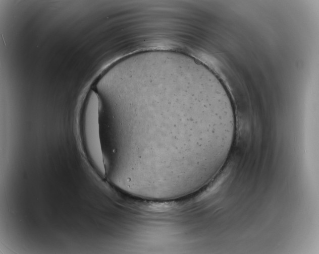 X0000088080843200706081728