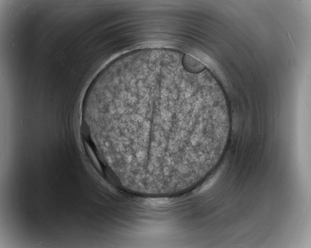 X0000088080844200706081728
