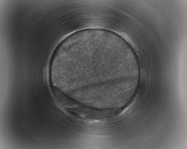 X0000088080846200706081728