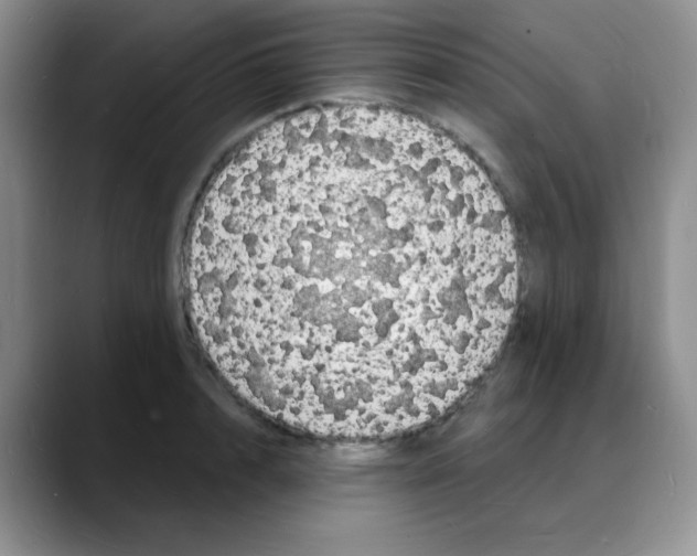 X0000088080848200706081728