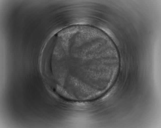X0000088080850200706081728