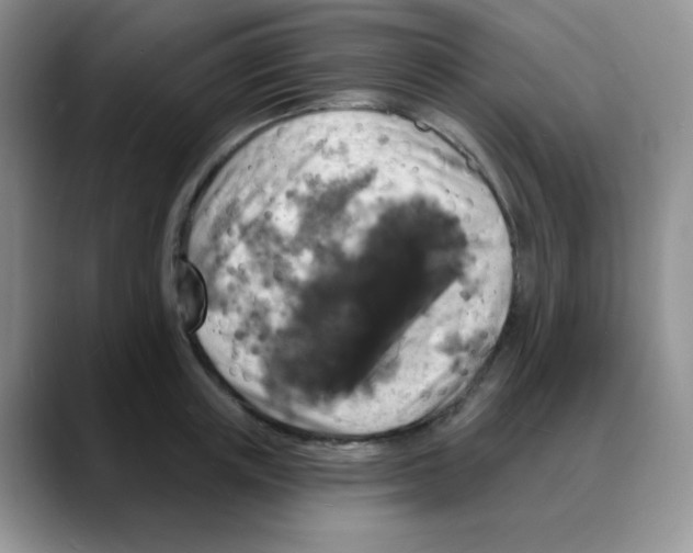 X0000088080851200706081728