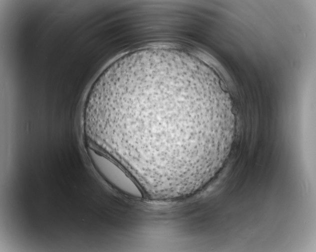 X0000088080852200706081728