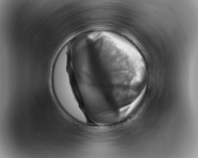 X0000088080853200706081728