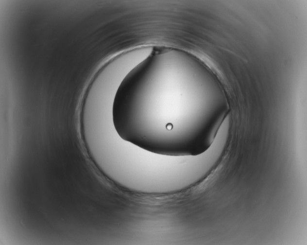 X0000088080854200706081728