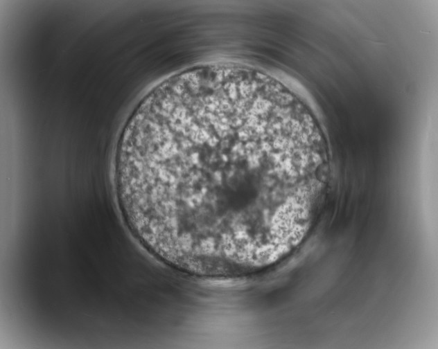 X0000088080855200706081728
