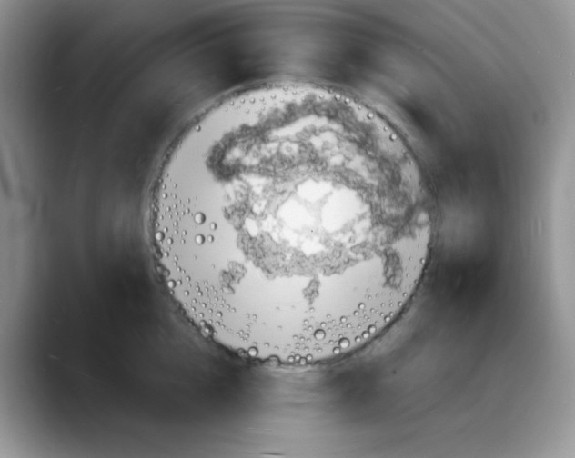 X0000088080856200706081728