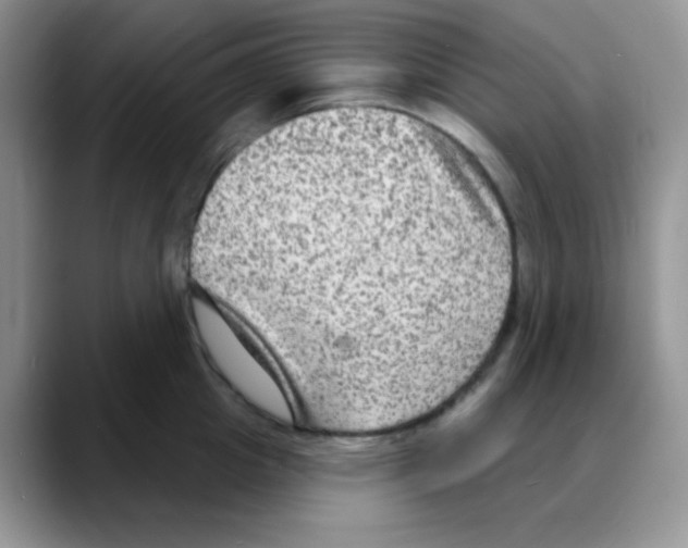 X0000088080857200706081728