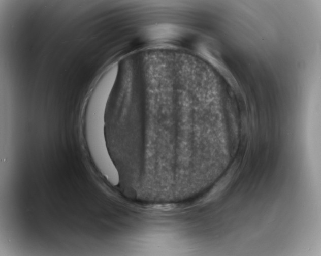 X0000088080858200706081728