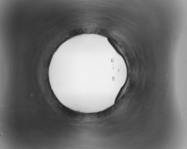 X0000088080865200706081728