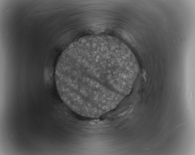X0000088080867200706081727