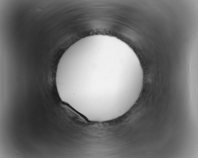 X0000088080869200706081727