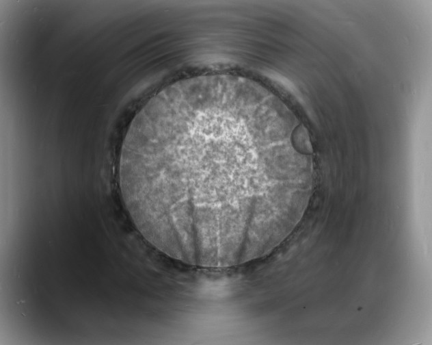 X0000088080871200706081727