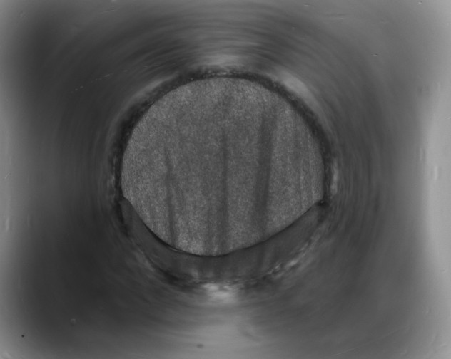 X0000088080872200706081727