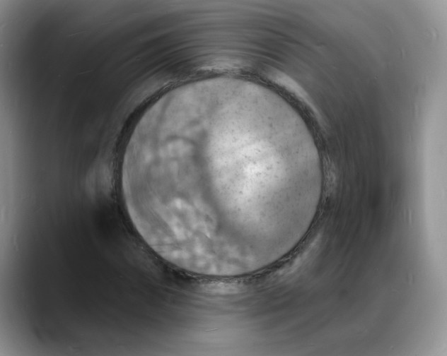 X0000088080874200706081727
