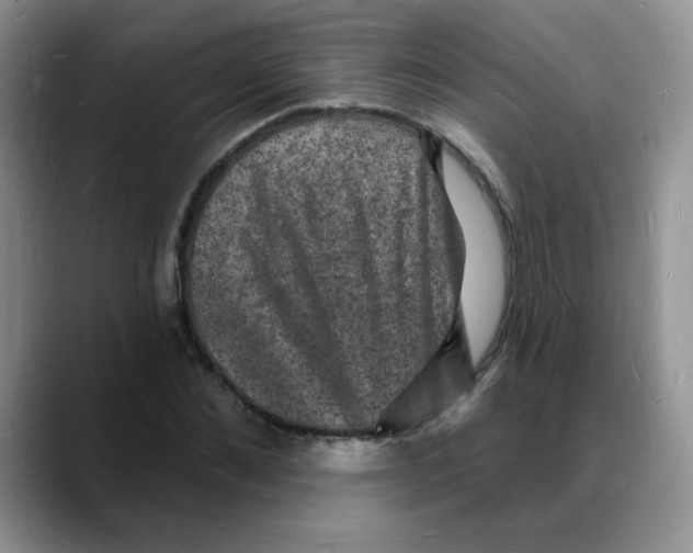 X0000088080876200706081727
