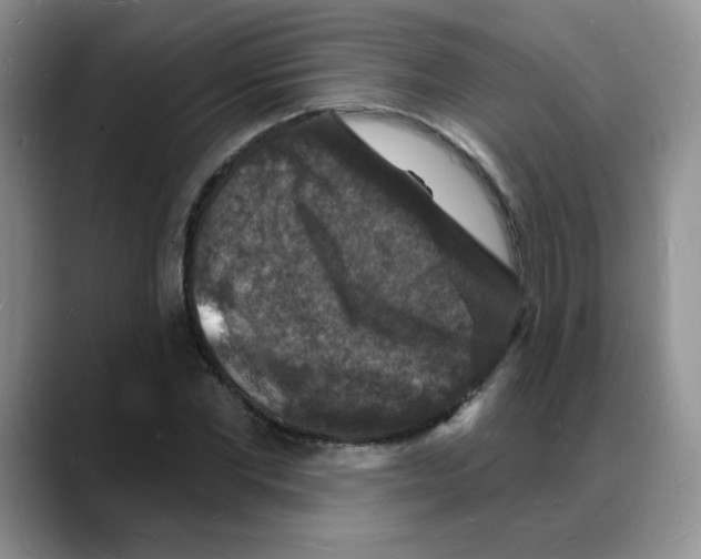 X0000088080877200706081727